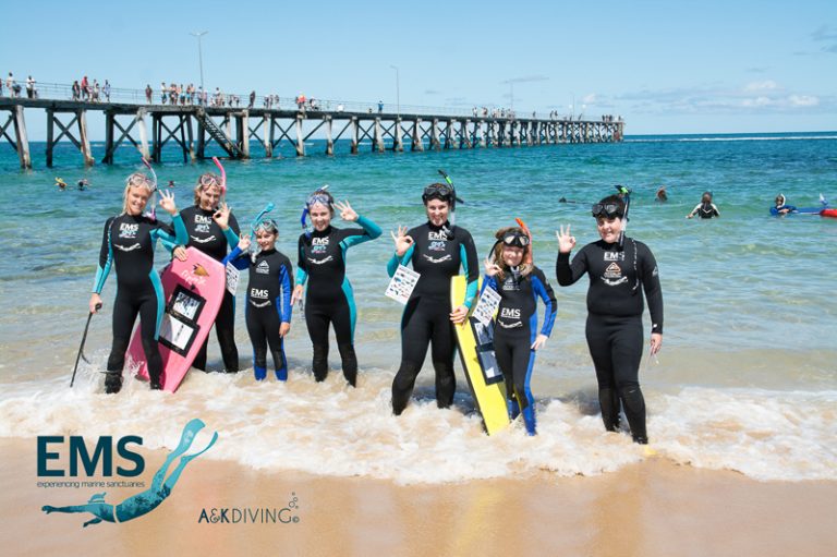 Guided Snorkelling Tours in South Australia Guided Snorkelling Tours in South Australia